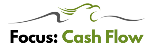 Focus: Cash Flow